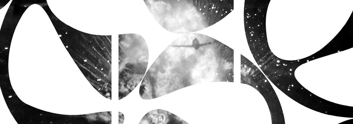The Colors Taste Like Music Bundle